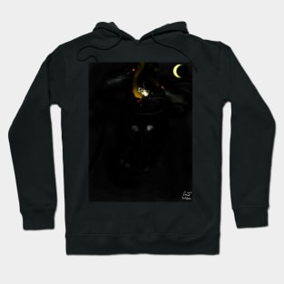 Raven Land Hoodie